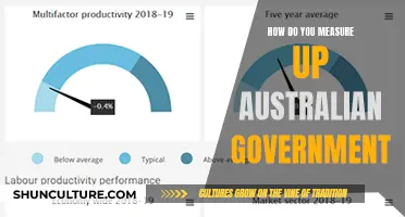 Australian Government: Performance Measurement and Analysis