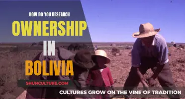 Researching Ownership in Bolivia: A Comprehensive Guide