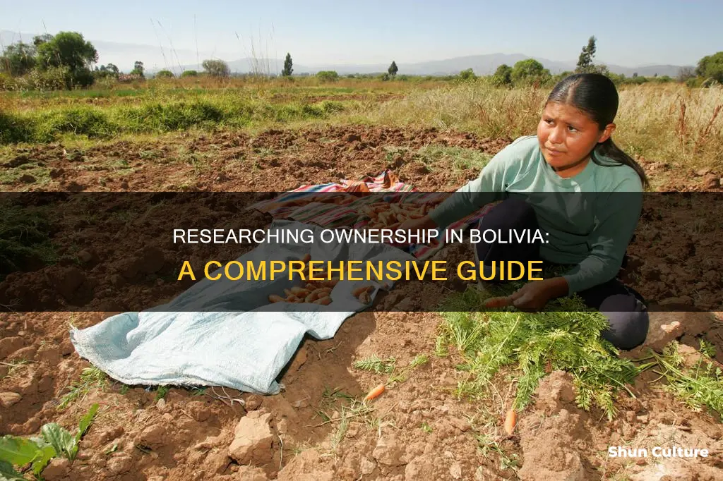 how do you research ownership in bolivia