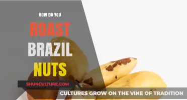 Perfectly Roasted Brazil Nuts: Simple Steps for Crunchy, Flavorful Snacks