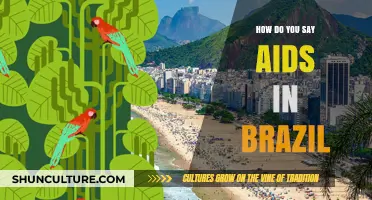 How to Say AIDS in Brazil: Language and Cultural Insights