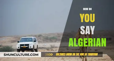 Mastering Algerian Pronunciation: A Beginner's Guide to Speaking Like a Local