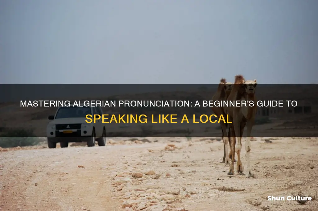 how do you say algerian