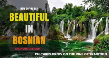 Discovering Bosnian Beauty: How to Say 'Beautiful' in Bosnian Language