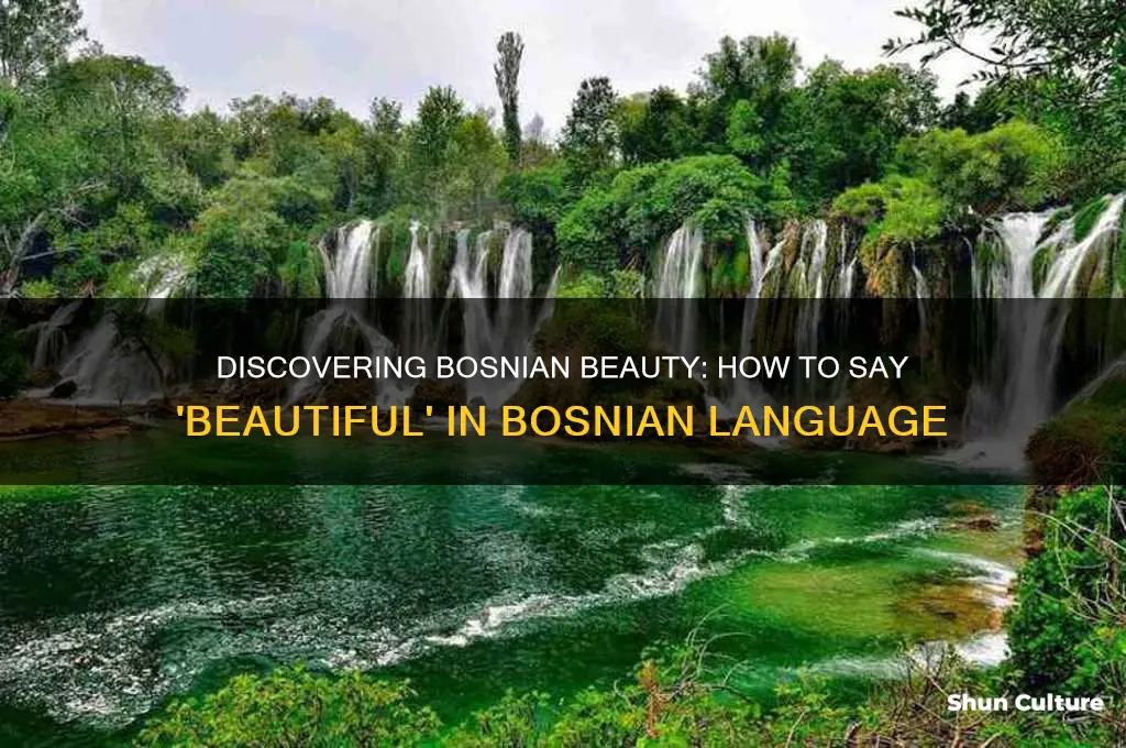 how do you say beautiful in bosnian