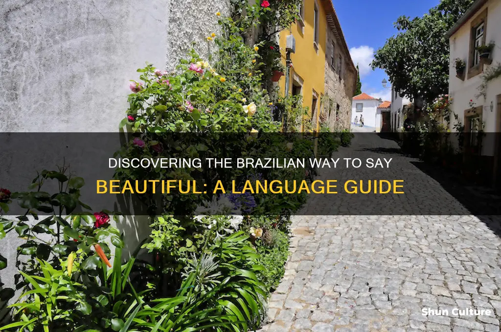 how do you say beautiful in brazil language
