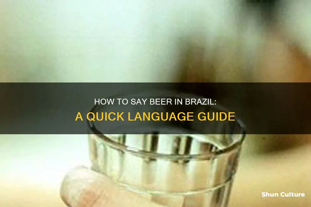 how do you say beer in brazil