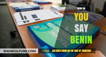 Exploring Pronunciation: How to Say 'Benin' Correctly