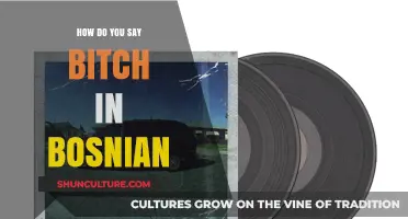 Exploring Bosnian Slang: How to Say 'Bitch' in Bosnian Language