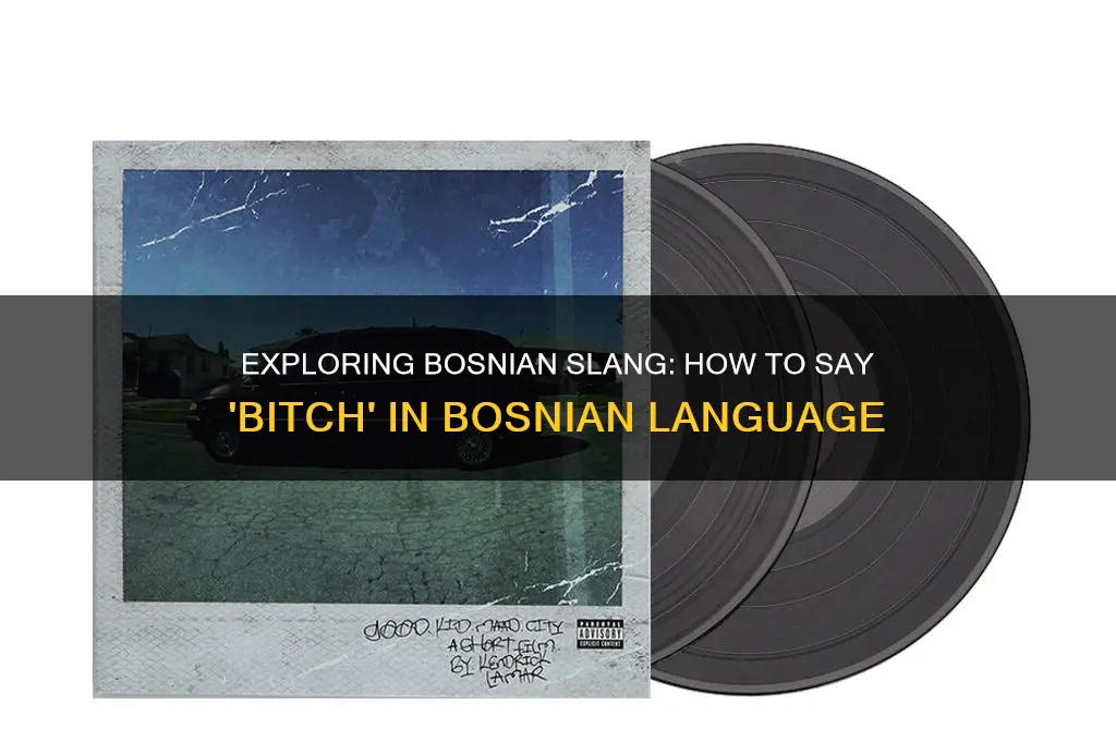 how do you say bitch in bosnian