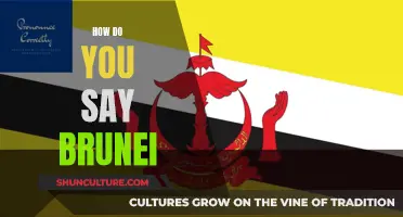 Pronouncing Brunei: A Guide to Getting it Right