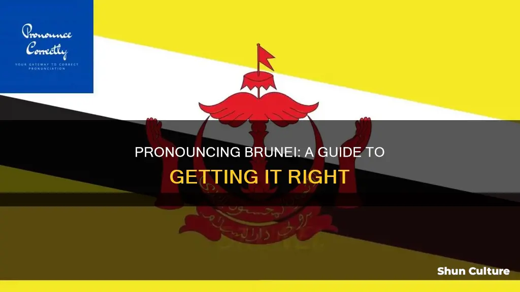 how do you say brunei