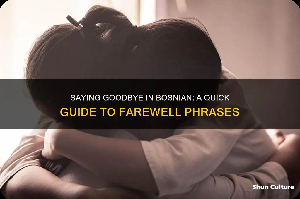 how do you say bye in bosnian