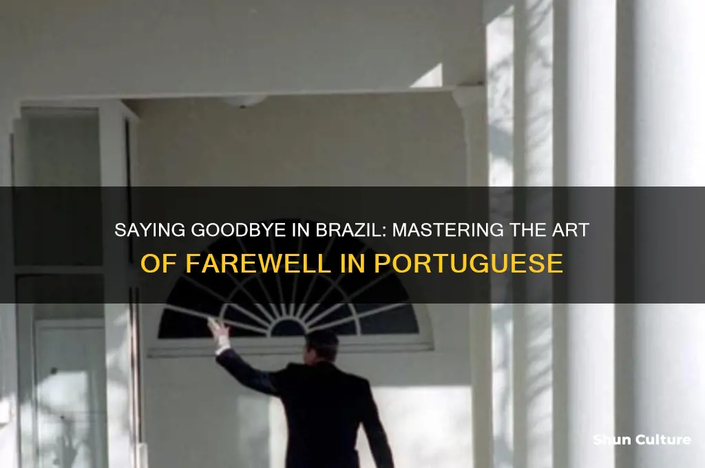 how do you say bye in brazil