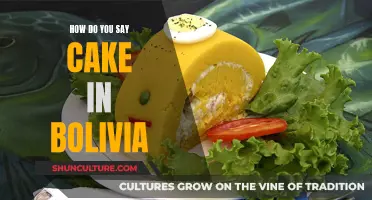 Cake in Bolivia: A Tasty Language Lesson