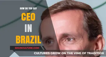 CEO in Brazil: Understanding the Local Term for Business Leaders