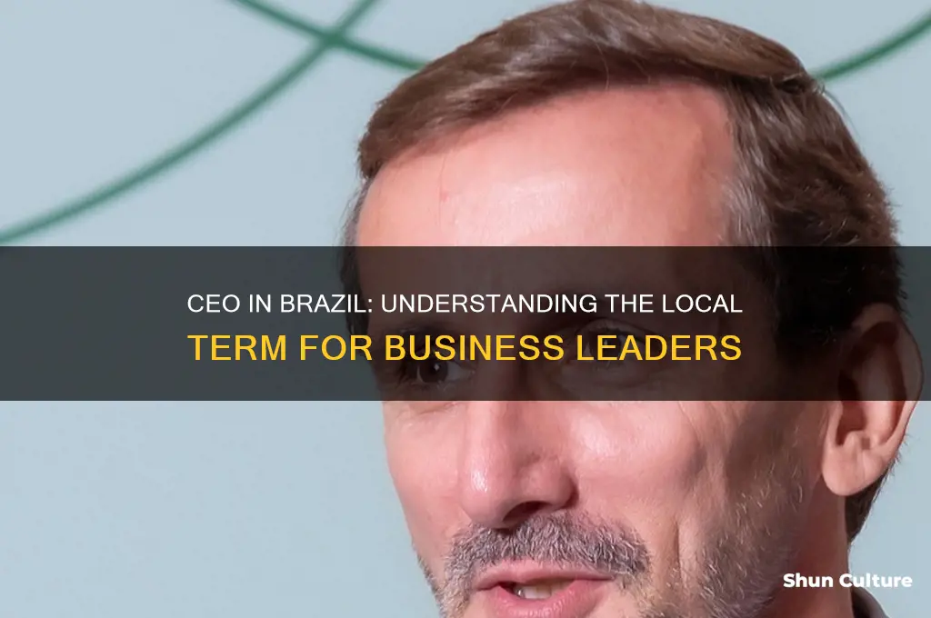 how do you say ceo in brazil