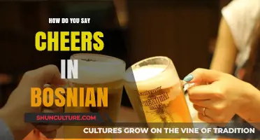 How to Say Cheers in Bosnian: A Guide to Toasting Like a Local
