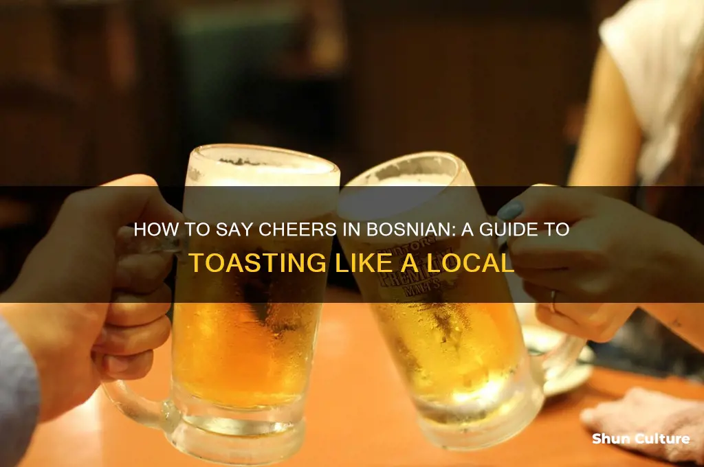 how do you say cheers in bosnian