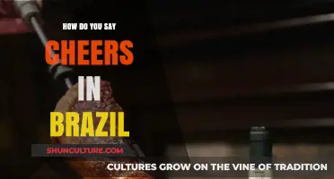 Raise Your Glass: How to Say Cheers in Brazil Like a Local