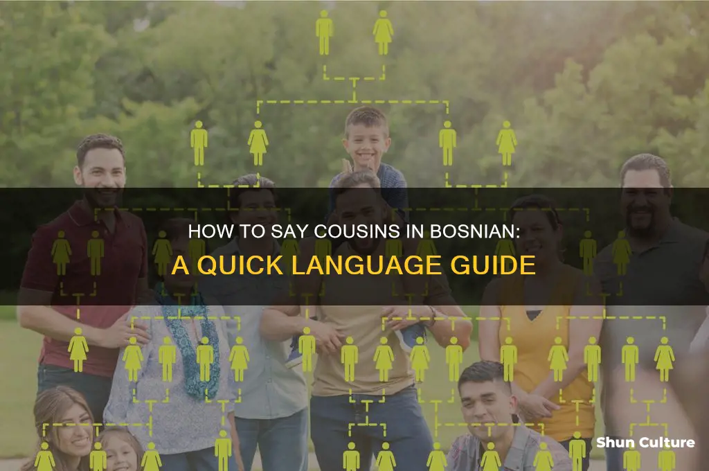 how do you say cousins in bosnian
