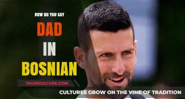 How to Say 'Dad' in Bosnian: A Quick Language Guide