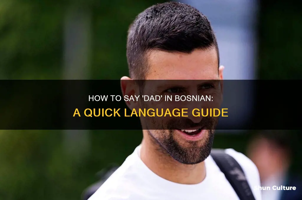 how do you say dad in bosnian