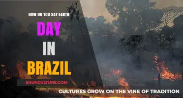 Celebrating Earth Day in Brazil: Language, Culture, and Environmental Awareness