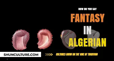 Exploring Algerian Languages: How to Say 'Fantasy' in Arabic and Berber