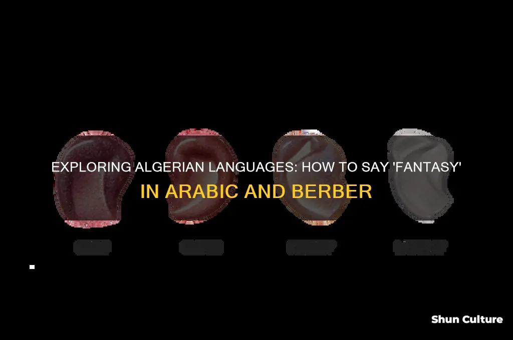 how do you say fantasy in algerian