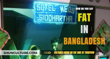 Exploring Bengali Vocabulary: How to Say 'Fat' in Bangladesh