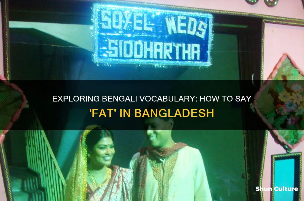 how do you say fat in bangladesh