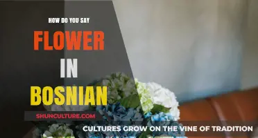How to Say Flower in Bosnian: A Quick Language Guide