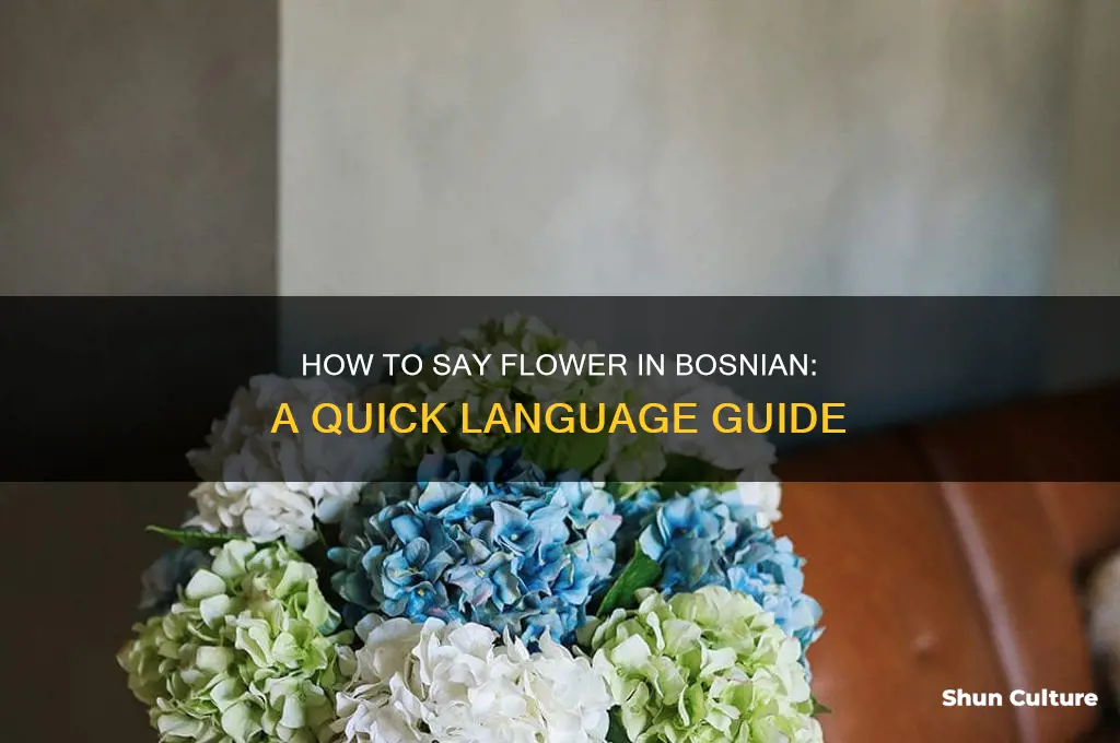 how do you say flower in bosnian