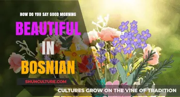 Beautiful Bosnian Greetings: How to Say 'Good Morning Beautiful' Perfectly