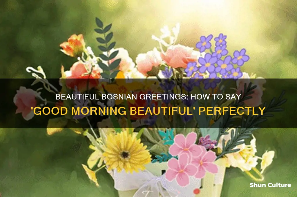 how do you say good morning beautiful in bosnian
