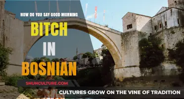 Good Morning Bitch in Bosnian: A Guide to Casual Greetings