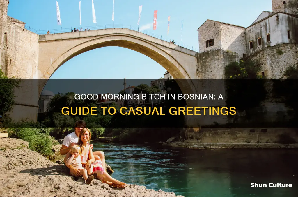 how do you say good morning bitch in bosnian