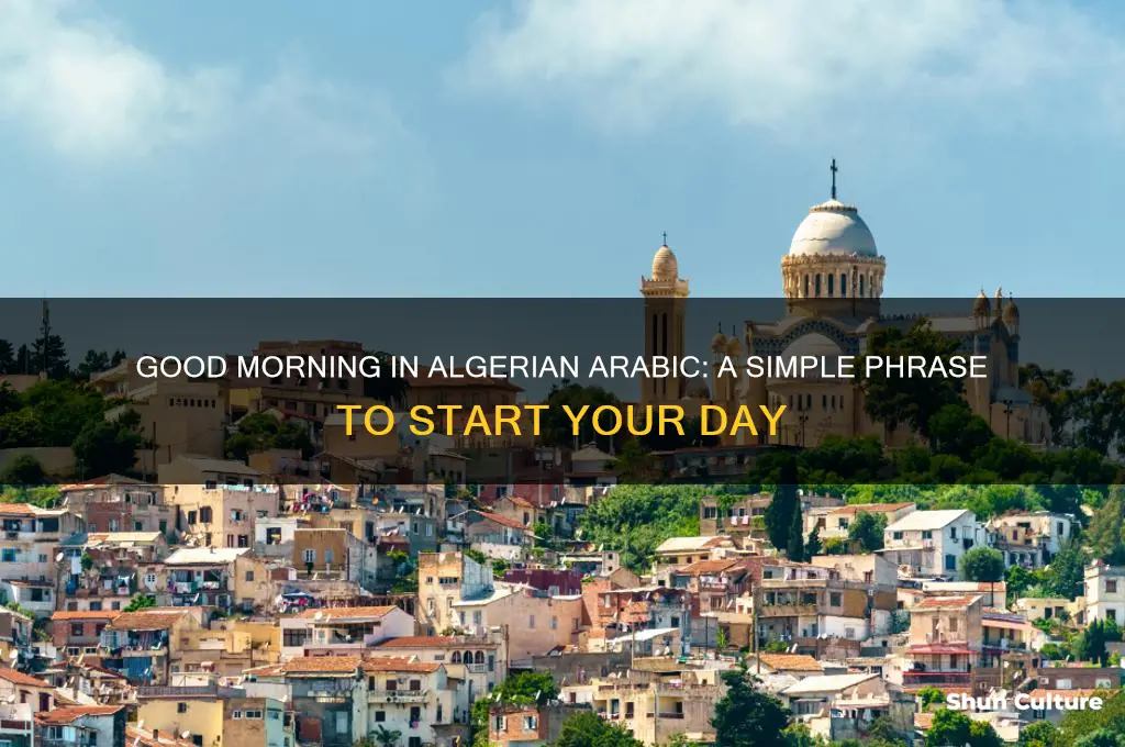 how do you say good morning in algerian arabic