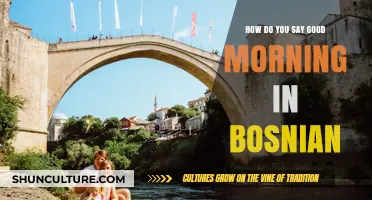 Good Morning in Bosnian: A Simple Guide to Greetings and Culture