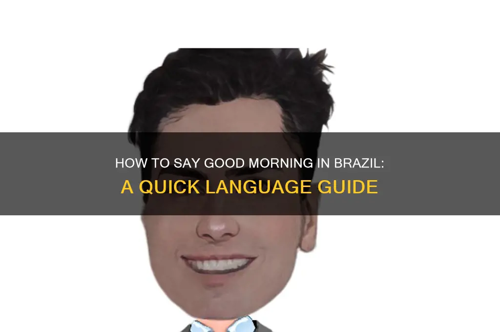 how do you say good morning in brazil
