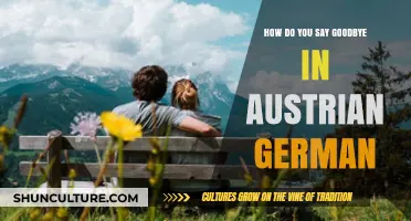 Saying Farewell in Austrian German: A Guide to Common Phrases