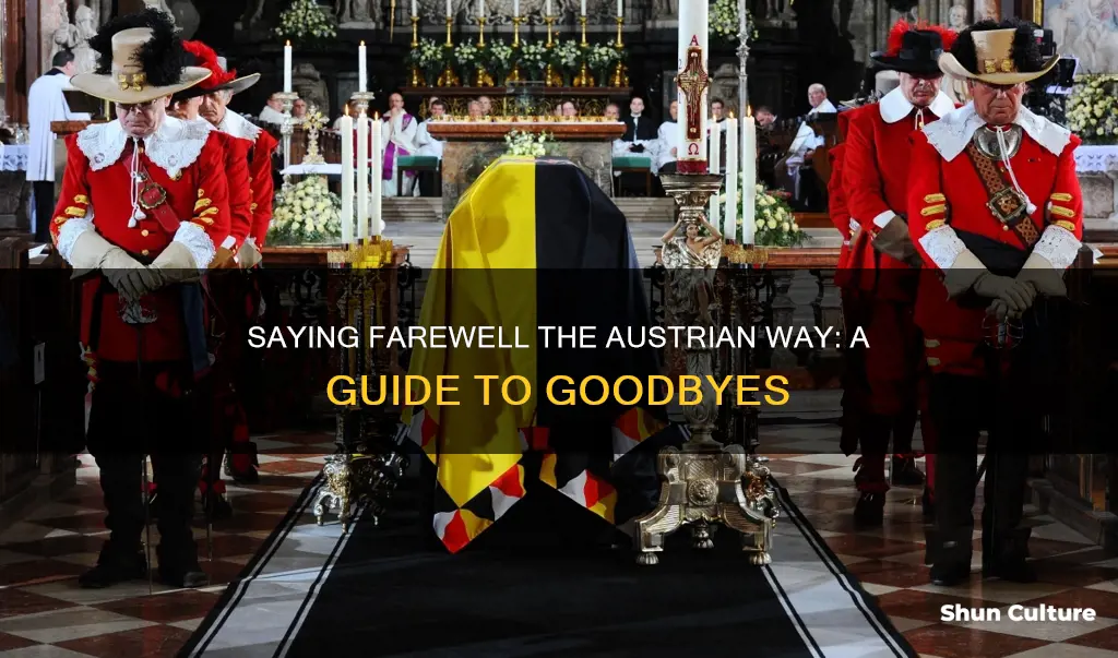 how do you say goodbye in austrian