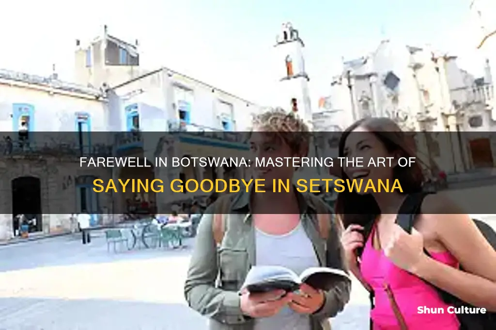 how do you say goodbye in botswana