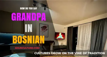 How to Say Grandpa in Bosnian: A Quick Language Guide