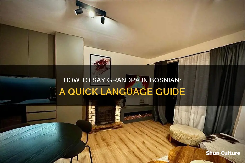 how do you say grandpa in bosnian