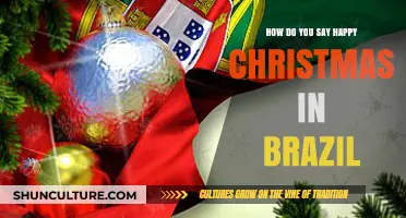 Merry Christmas in Brazilian Portuguese: Festive Greetings from Brazil
