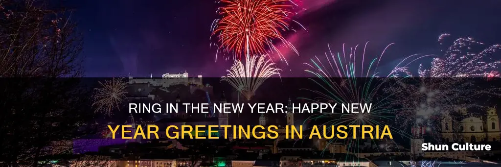 how do you say happy new year in austria