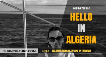 Greetings in Algeria: How to Say Hello Like a Local