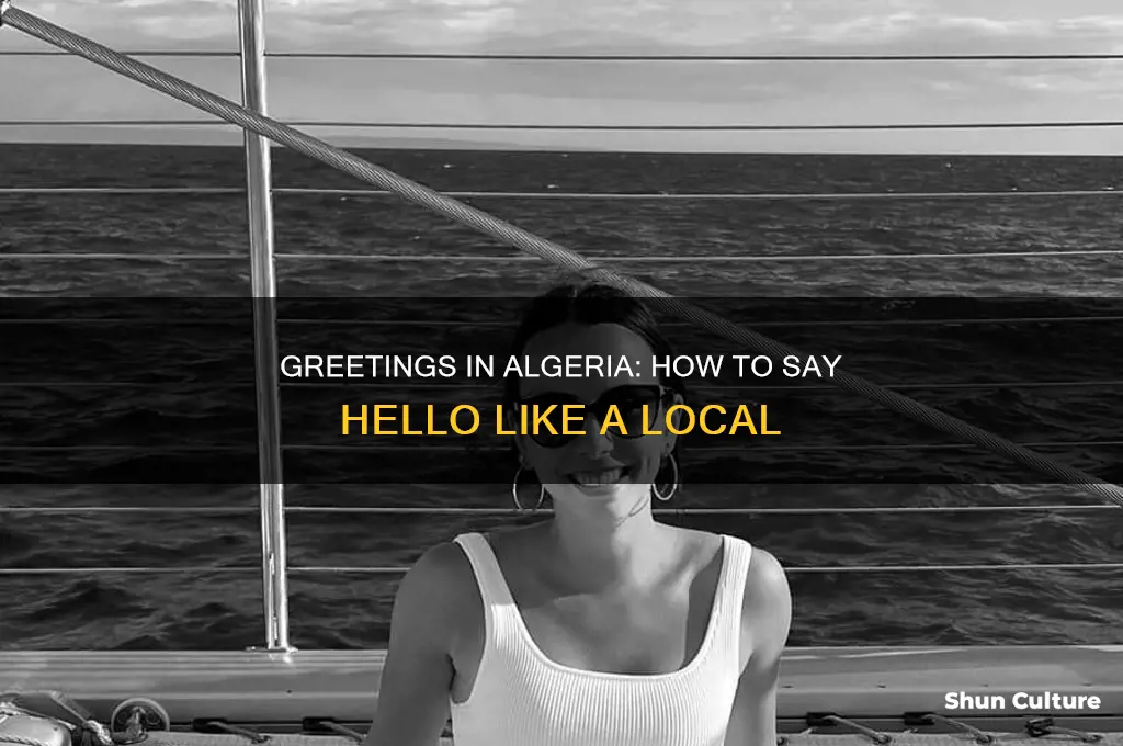 how do you say hello in algeria